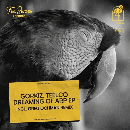 Gorkiz & TEELCO - Dreaming of Arp [FSR034]